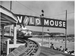 A ride on the wild side
