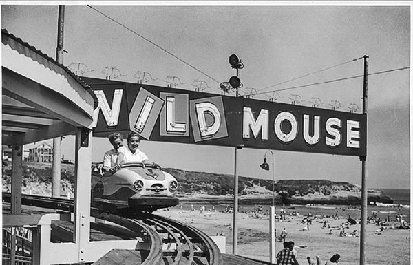 A ride on the wild side