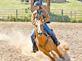 Local 4-H Club Members participating in the Santa Cruz County Fair