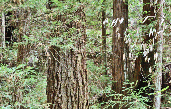 Wilderness group activities enhances health and fitness