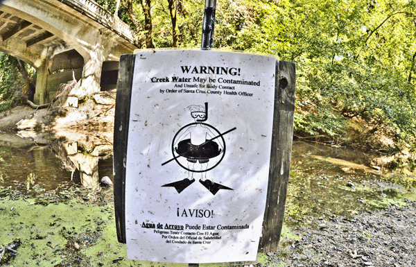 San Lorenzo River faces water quality issues for outdoor play