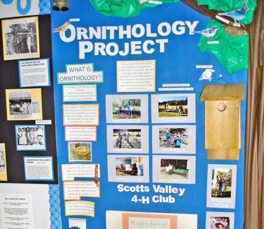 SLV Quail Creek 4-H and ScottsValley 4-H Club at the County Fair