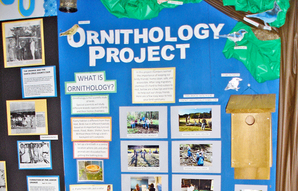 SLV Quail Creek 4-H and ScottsValley 4-H Club at the County Fair