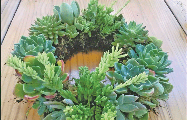 Workshop gives learners head start for the holidays