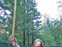 Ben Lomond High School Participate in 2015 Santa Cruz Forestry Challenge