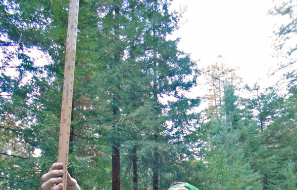 Ben Lomond High School Participate in 2015 Santa Cruz Forestry Challenge