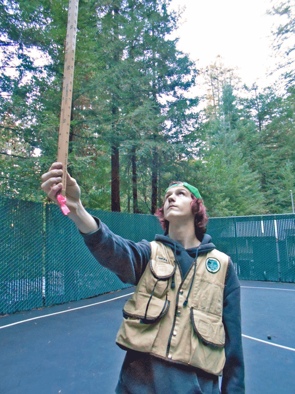 Ben Lomond High School Participate in 2015 Santa Cruz Forestry Challenge