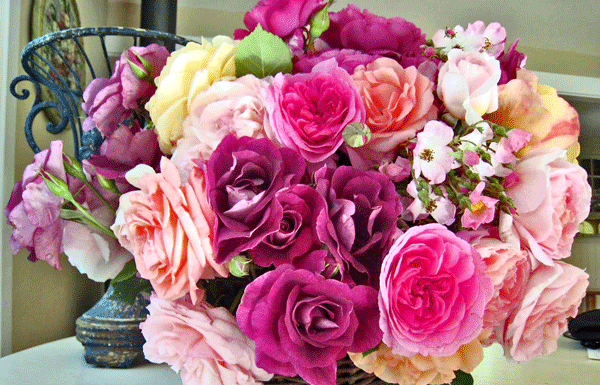 The Mountain Gardener: “Pruning Roses- How, When and Why”