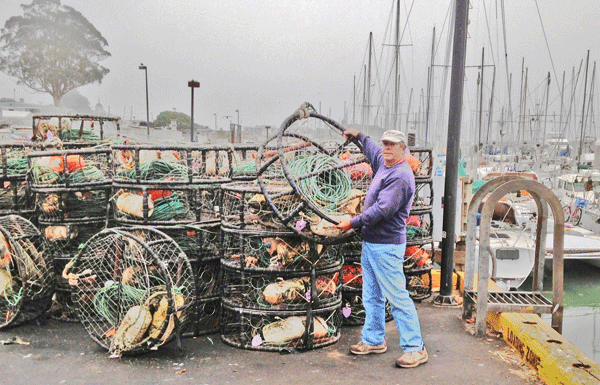 Crab conditions improve, not Harbor dredge