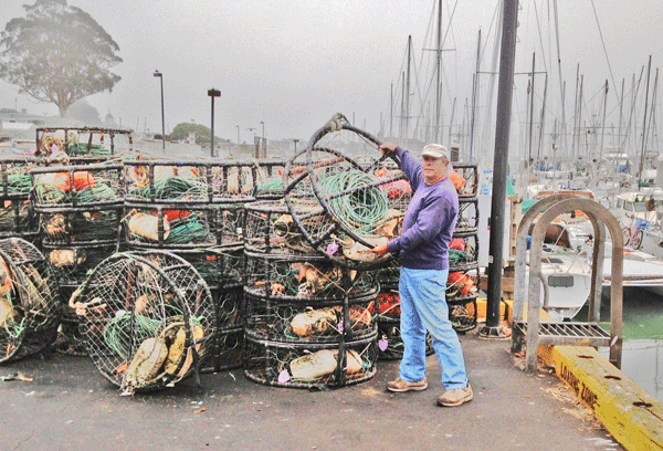 small crab dredge