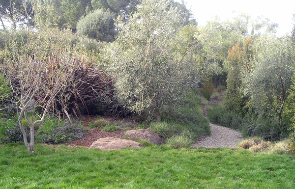 New way to see grasses
