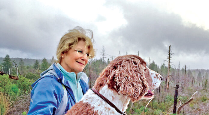 Man’s best friend a pal to citrus too