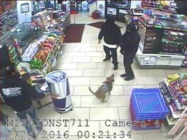 Armed Robbery