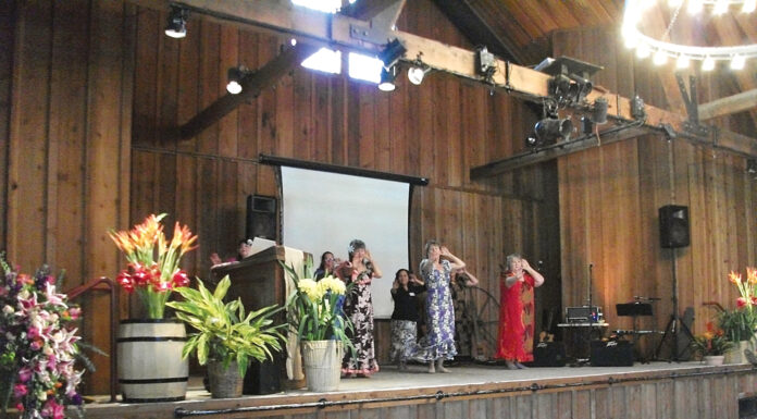 Life of Georgie Clark celebrated