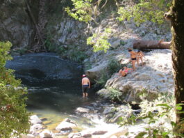 San Jose visitor falls to his death in Garden of Eden swimming hole