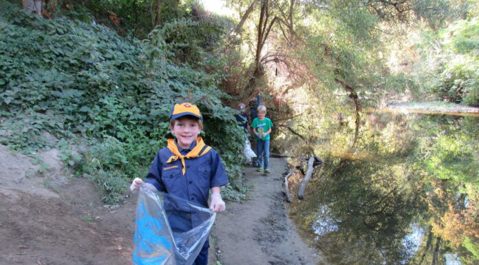 Tons of trash collected along creeks, rivers, and beaches
