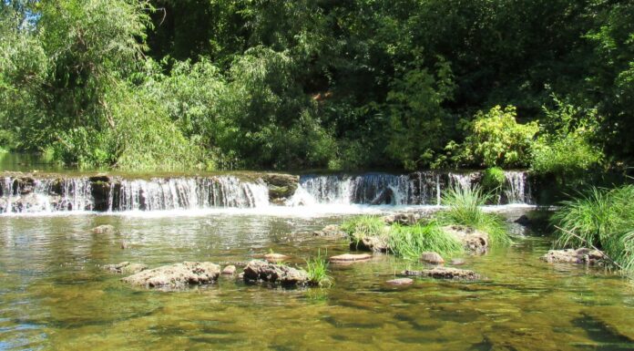River and Road cleanup day is Sept. 17