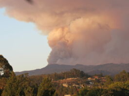 Wildfire at Loma Prieta