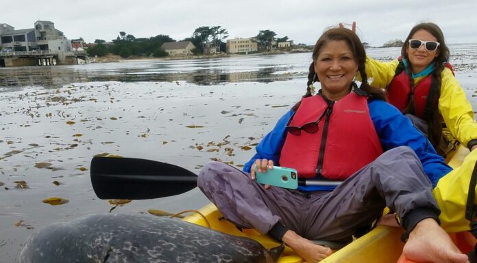Help protect the oceans and keep them litter-free