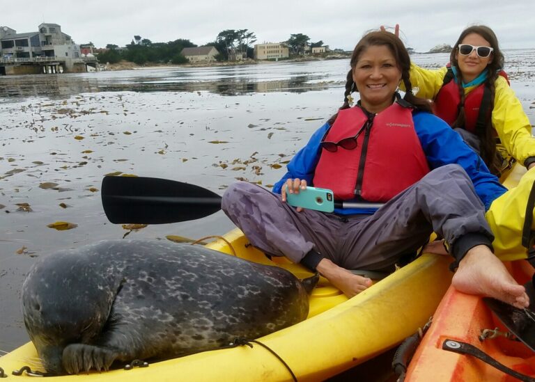 Help protect the oceans and keep them litter-free