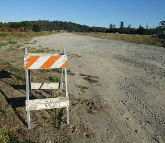 SV Town Center project back in play