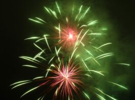 2016 Year in Review