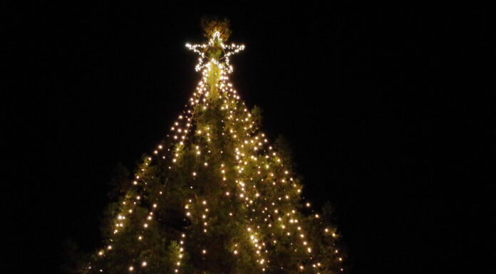 Scotts Valley Tree Lighting Dec.3