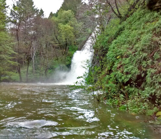 Loch Lomond overflows