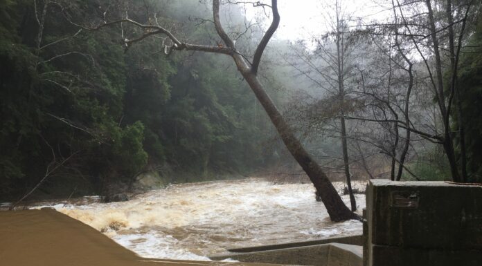 Winter Storm Alert! Send us your storm photos!
