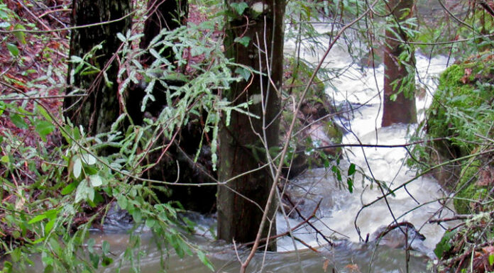 SLV water ratepayers to pay legal costs of appeals