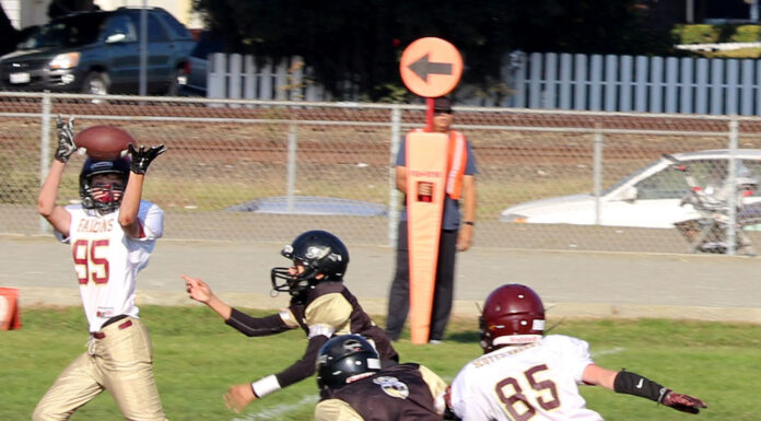 PAL football needs volunteers
