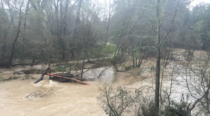 Storm turns deadly