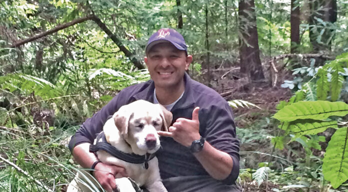 Blind dog rescued after 8 days in the woods