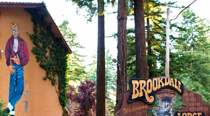 James Dean mural gone from Brookdale Lodge