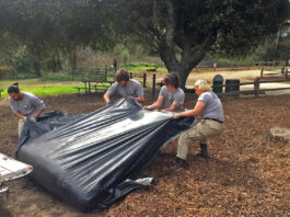 AmeriCorps lends a hand