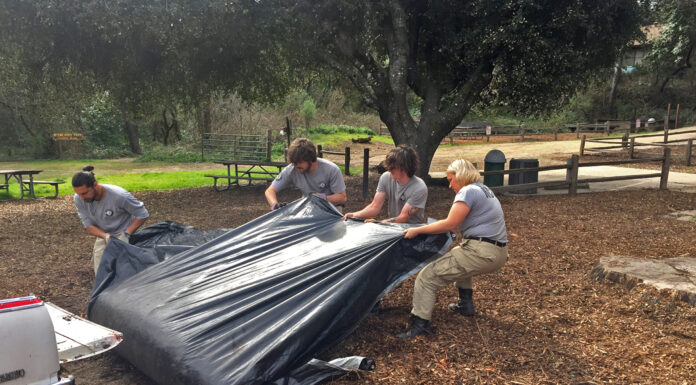 AmeriCorps lends a hand