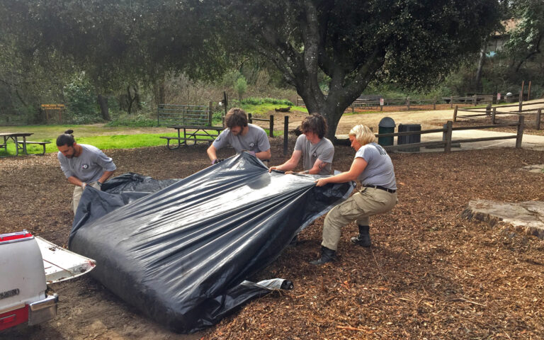 AmeriCorps lends a hand