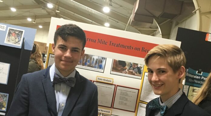 Scotts Valley student makes “bee-line” to state science fair