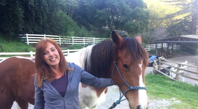 Rescue group saves pregnant mares