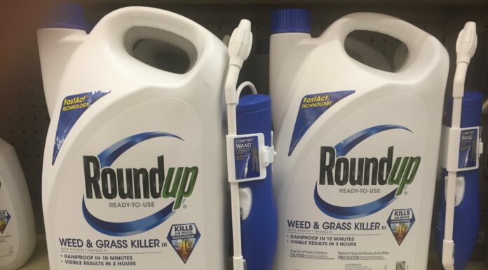 CA: glyphosate is carcinogenic