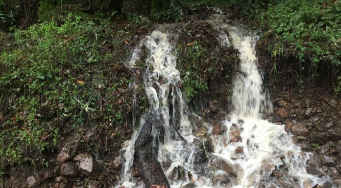 SLV water rates up 29% in November