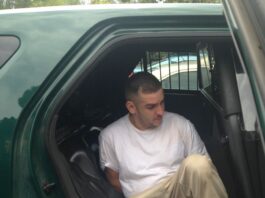 Mayhem suspect is in custody