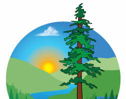Council Approves $6,000 for Tree Lighting | News Briefs