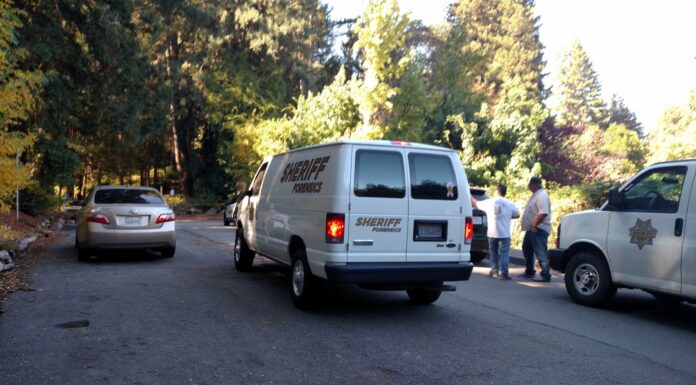 Bodies found in BC cemetery