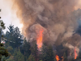 Fire affects air quality