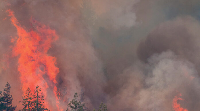 Bear Fire burns through Santa Cruz Mountains