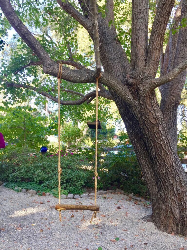 Winter’s storm and The Swing