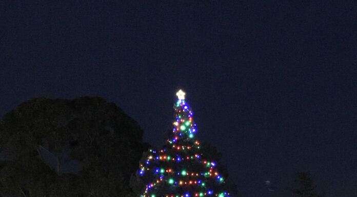 Light up the night