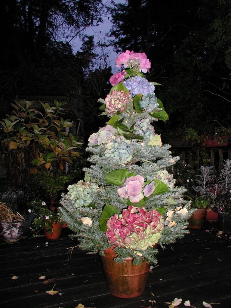 A gardener’s Christmas poem