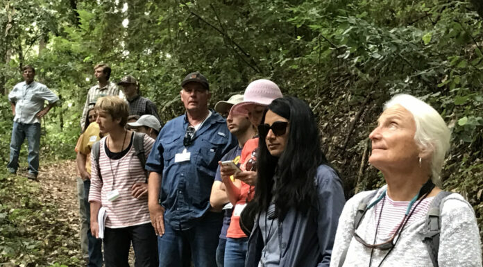 Volunteers wanted to become forest stewards